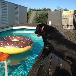 Meet your Posher, Jodie